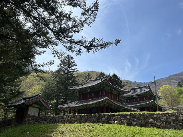 사적 '평창 오대산 사고' 