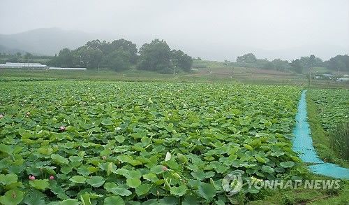 용인 농촌체험마을