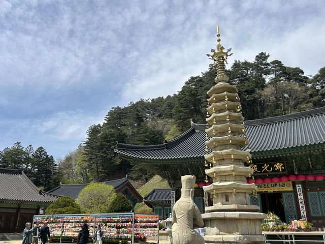 보수 마친 평창 월정사 팔각 구층석탑