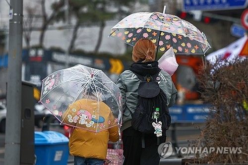 우산에 핀 봄꽃 