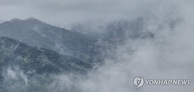 봄비 머금은 산