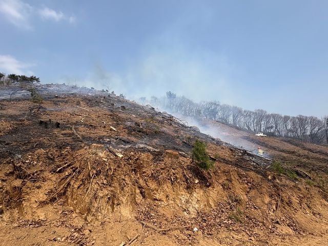 양주 백석읍 산불