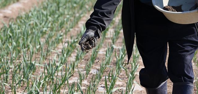 안동 산불 이재민들, 농사일로 일상 회복 시도