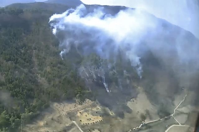 순창군 쌍치면의 한 야산에서 불