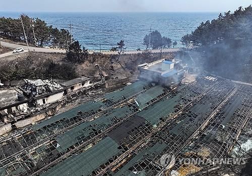 산불에 불탄 양식장