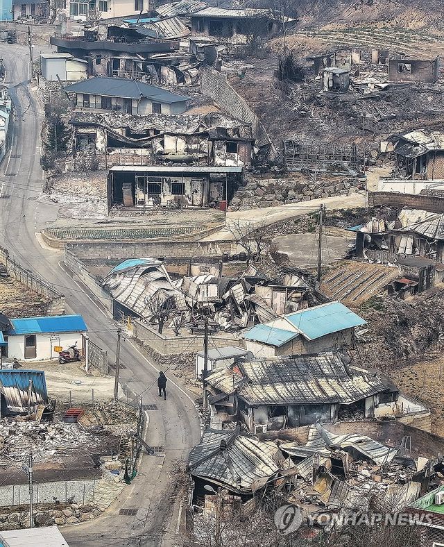 산불 휩쓸고 간 영덕