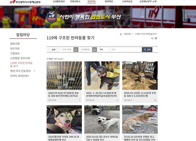 부산소방본부 '119에 구조된 반려동물 찾기'