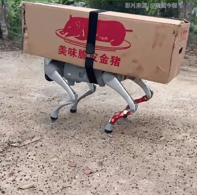 돼지구이 싣고 산 오르는 로봇개
