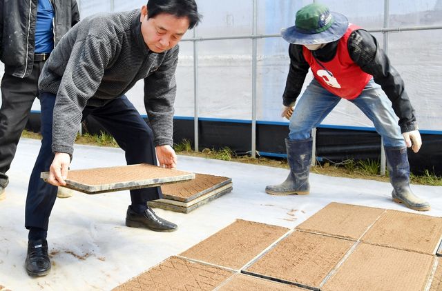 지난달 28일 육묘은행 농가를 찾은 최문순 화천군수