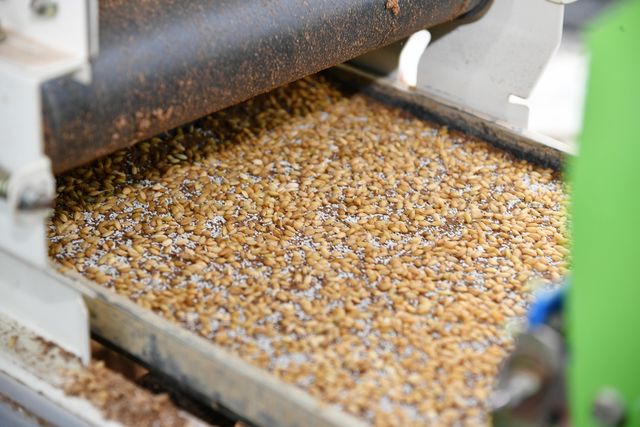 화천군 취약농 육묘은행 호응…못자리 퀵서비스도 제공 - 1