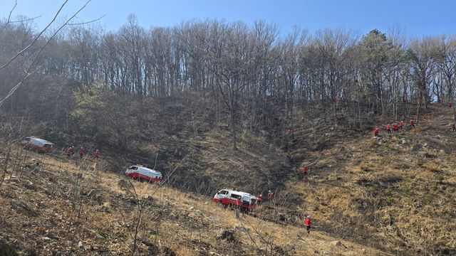 진화작업 하는 산림당국