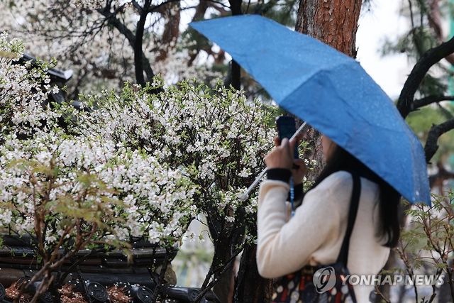 비 내리는 운현궁
