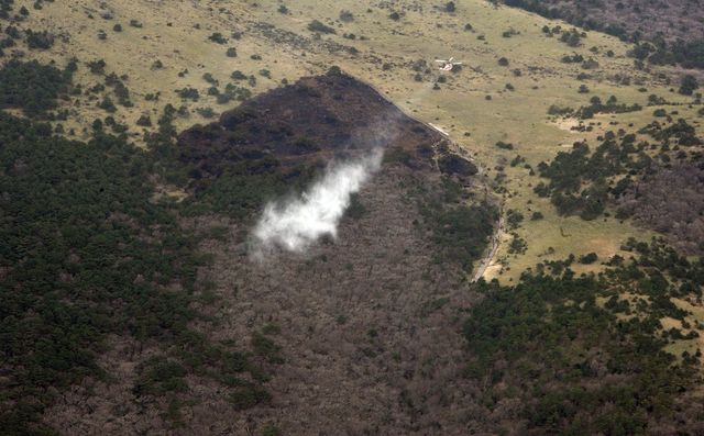 산불로 까맣게 탄 한라산