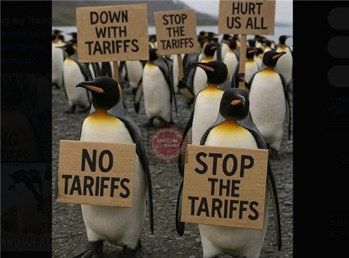 관세 부과 항의 시위하는 펭귄 밈 