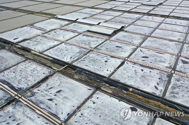 새하얀 소금 결정