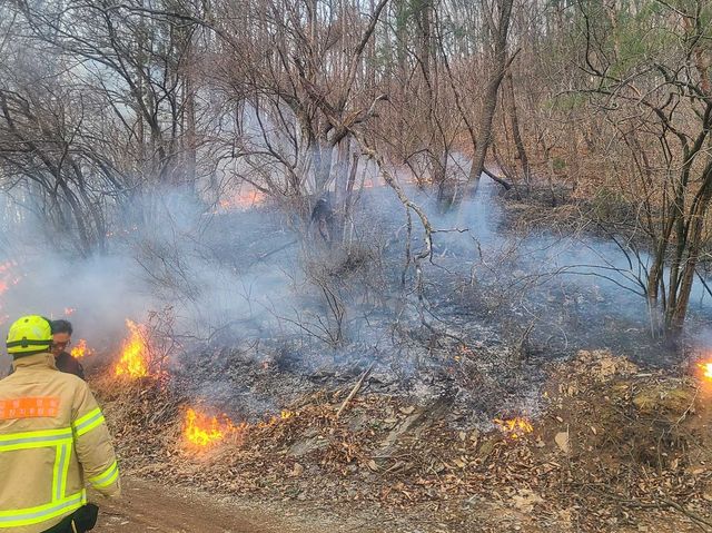 영월 남면 산불