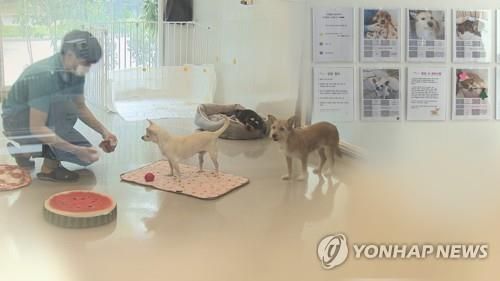 "유기견 줄이자"…돌봄쉼터 마련 (CG)
