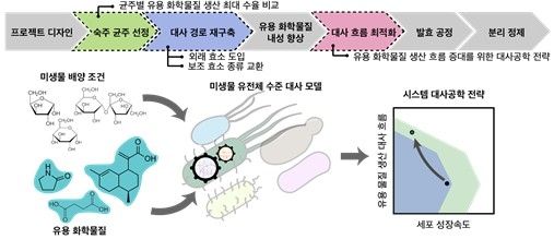 미생물 세포 공장 개량 연구 모식도 