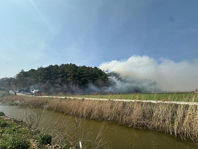 전남 무안 산불