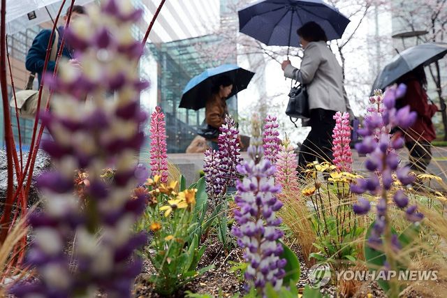 비 내리는 식목일