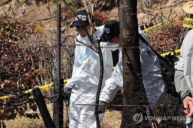 '언양 산불 원인은'