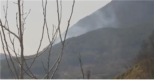 산불 현장 모습