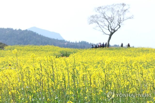 봄 정취 물씬 나는 신화가든