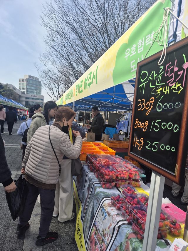 서초직거래큰장터