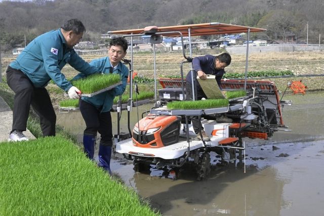 모내기 돕는 염기남 부군수
