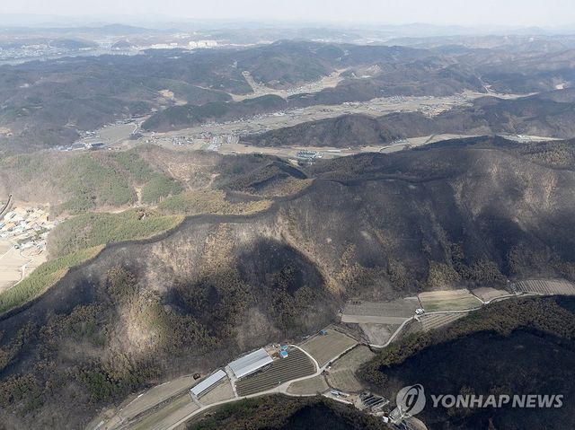 산불이 멈춘 자리…경북 안동시 남후면 일대