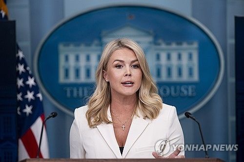 브리핑하는 백악관 대변인