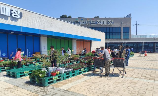 태안로컬푸드직매장서 20일까지 봄꽃축제