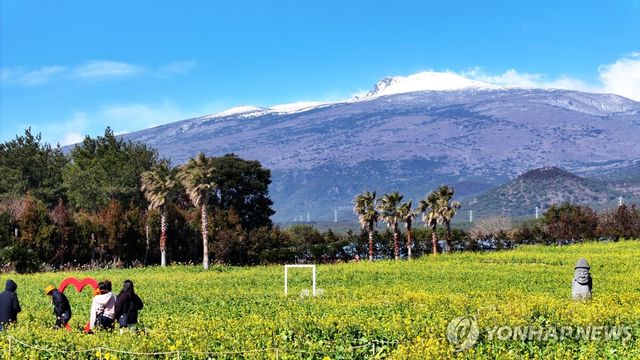 겨울 가고 이제 봄