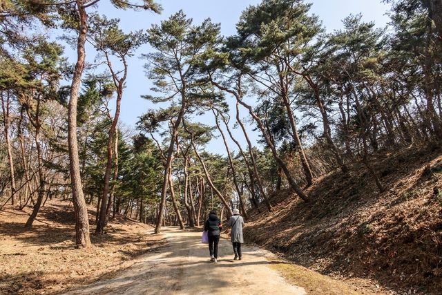왕의 숲길 [사진/백승렬 기자]