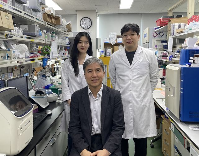 KAIST 조광현 교수 연구팀 