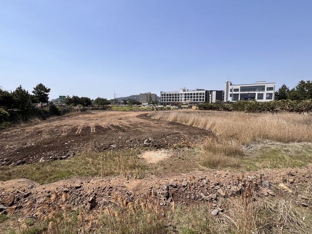 매립 후 습지의 모습