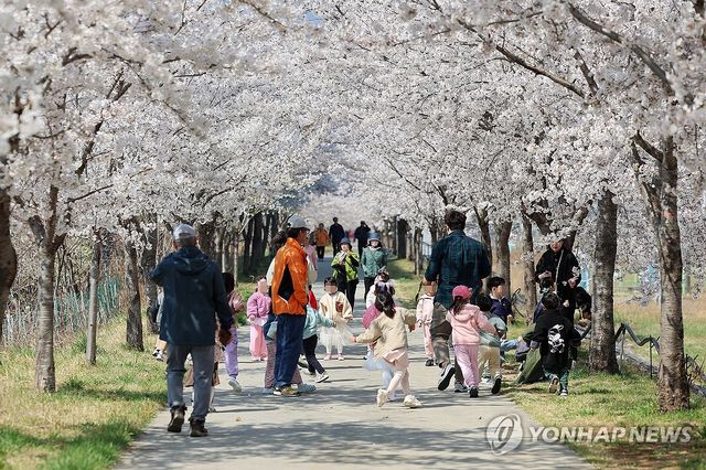 활짝 핀 벚꽃과 즐거운 동심…동해시 전천