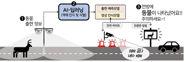 동물 찻길 사고 예방시스템. [환경부 제공. 재판매 및 DB 금지]