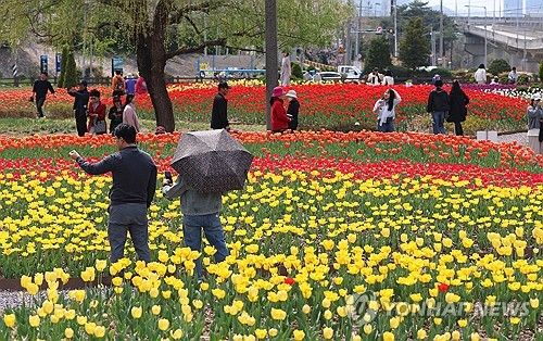 [연합뉴스 자료사진]