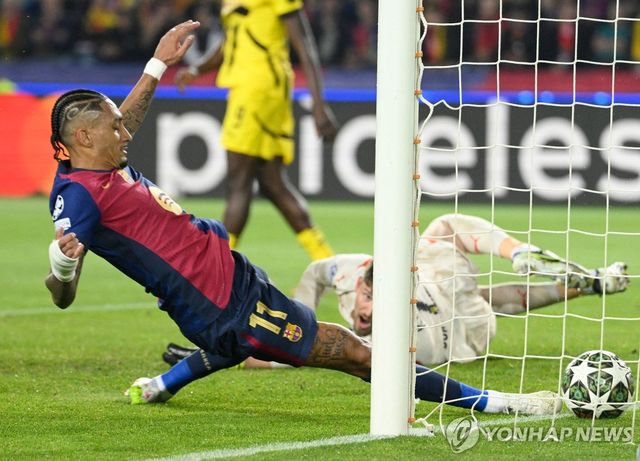 골 넣는 하피냐