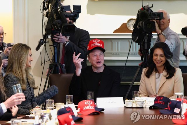 30일(현지시간) 백악관에서 열린 내각 회의에서 발언하는 일론 머스크