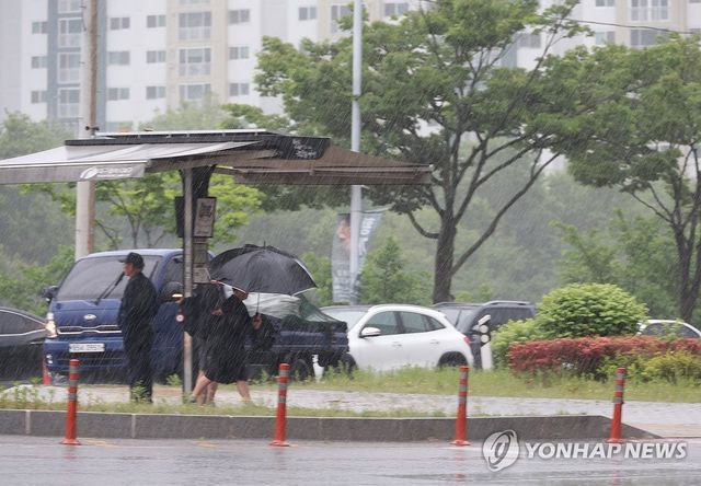 대구에 반가운 비