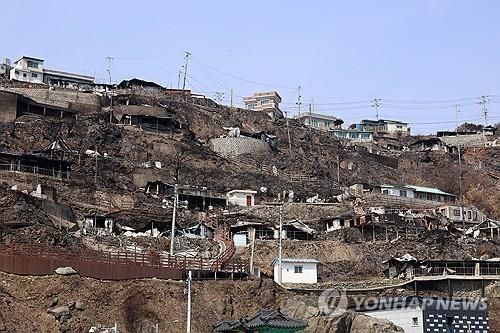 산불에 탄 영덕 해안마을