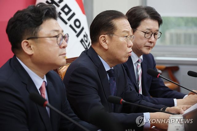 권영세 비상대책위원장, 파기환송 판결 관련 기자회견