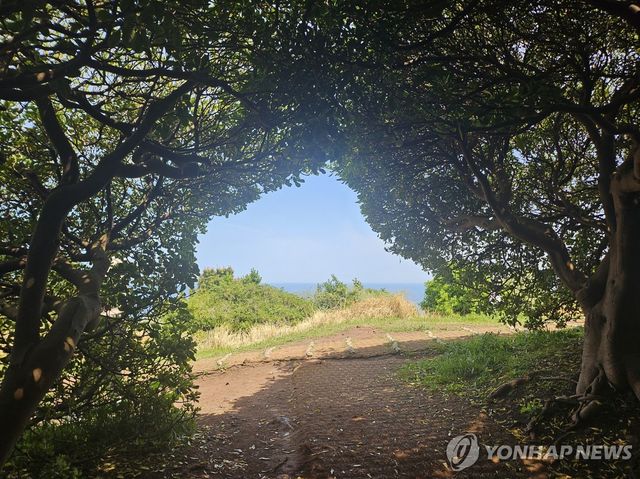 제주 도두봉