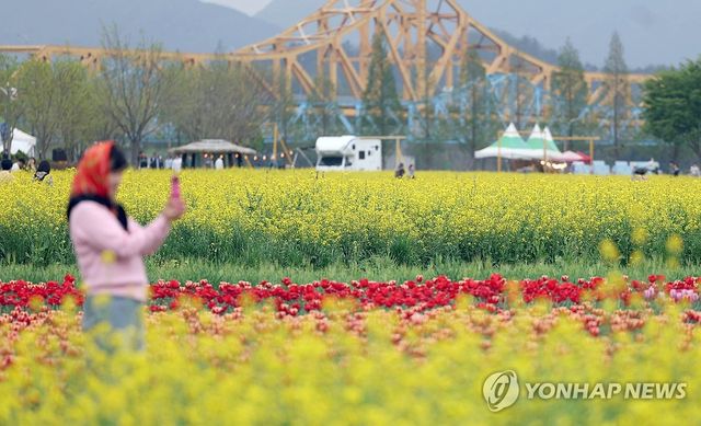 흐려도 화려한 봄