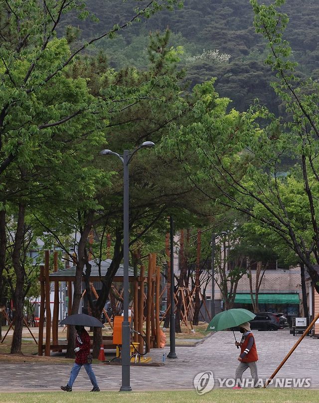 대구에 산불 걱정 덜어줄 비