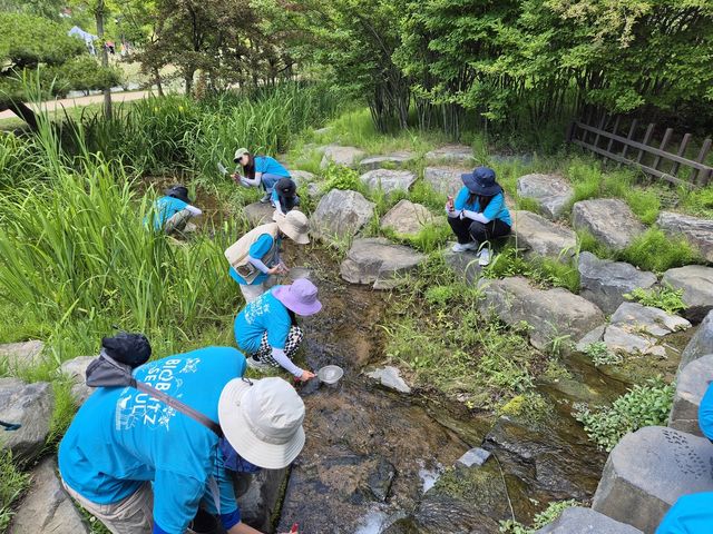 2024년 바이오블리츠 서울 탐사 모습