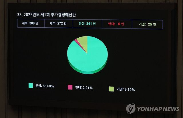 2025년도 1차 추경안 국회 본회의 통과
