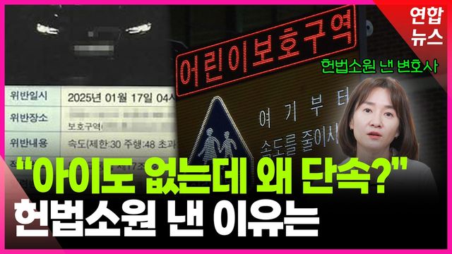 [영상] 헌법소원 제기한 변호사…"24시간 스쿨존은 위헌" - 2